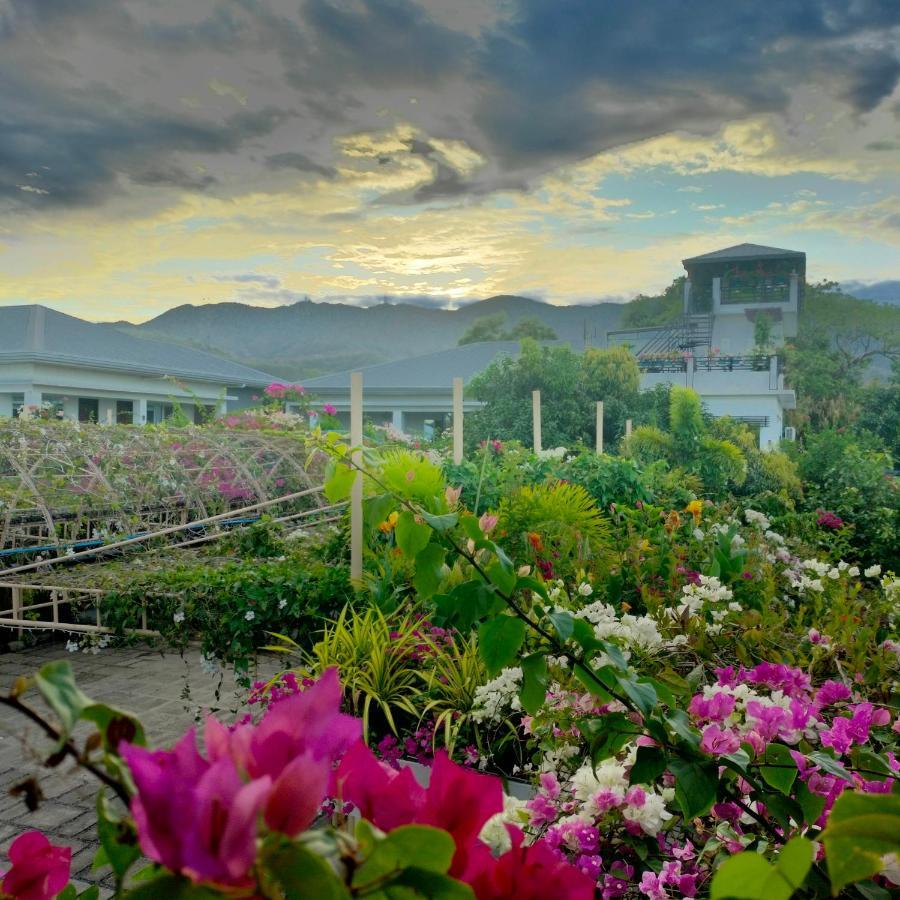 Casa Cecilia Hotel Bantay Buitenkant foto